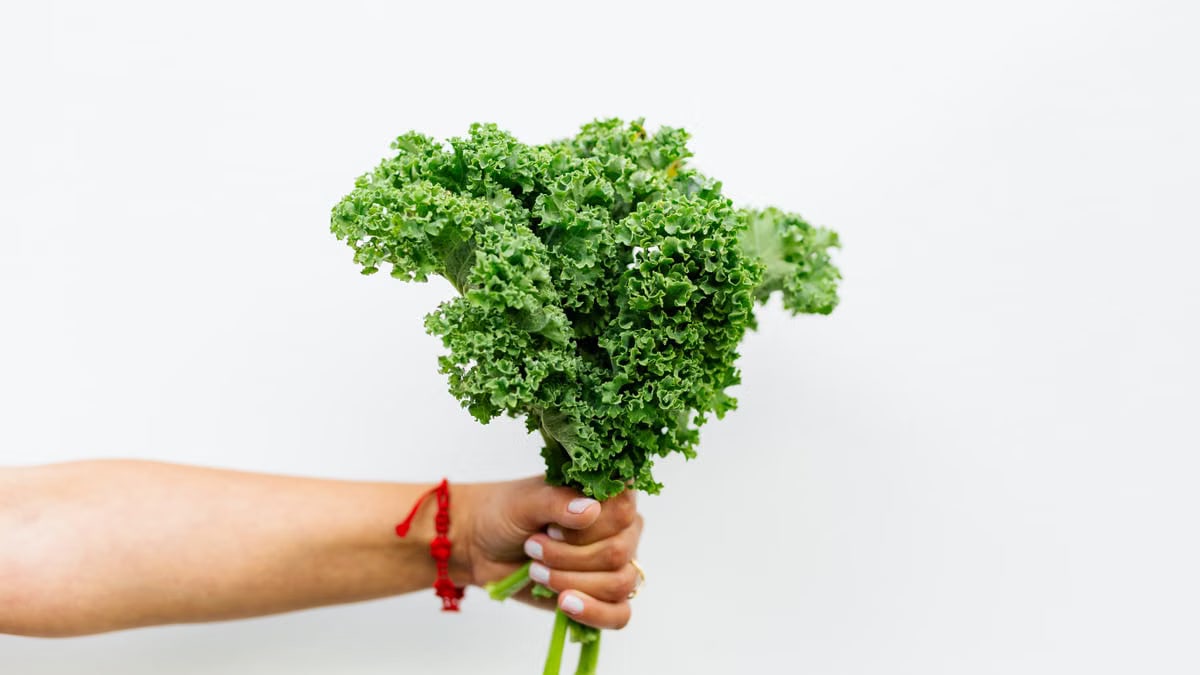 A hand holding fresh green kale with a white background, symbolizing health and nutrition.